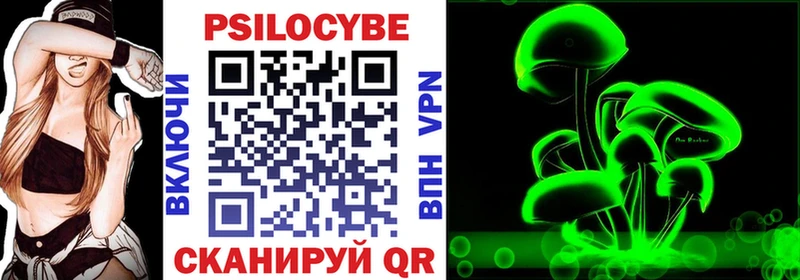 Купить закладки  Карачев  Псилоцибиновые грибы Cubensis 