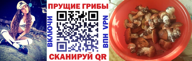 Галлюциногенные грибы ЛСД Карачев